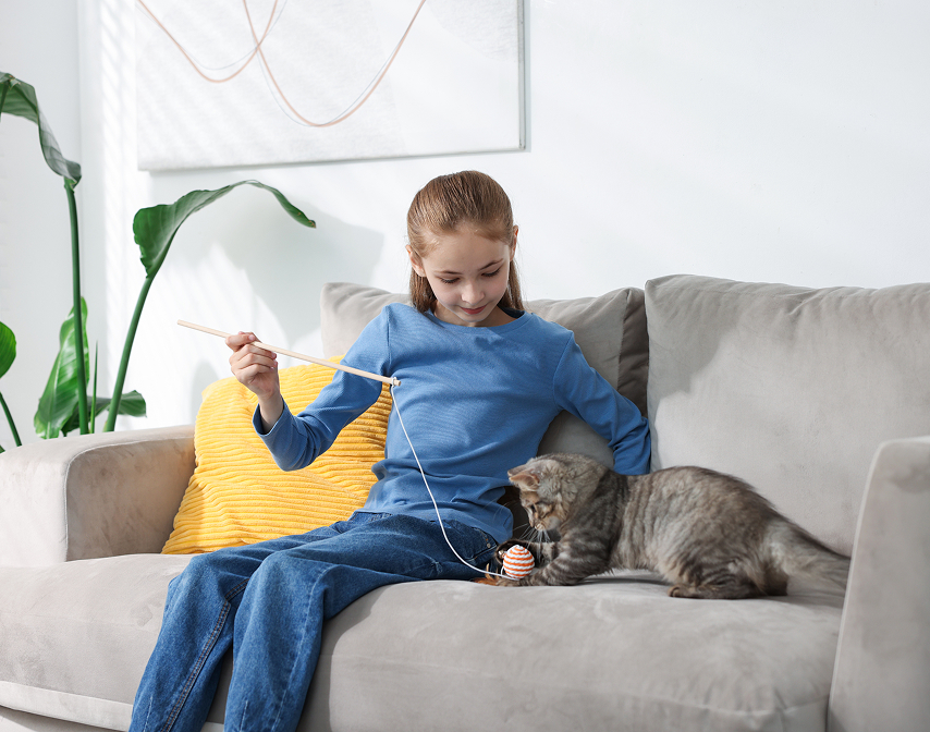 Indoor Air Quality